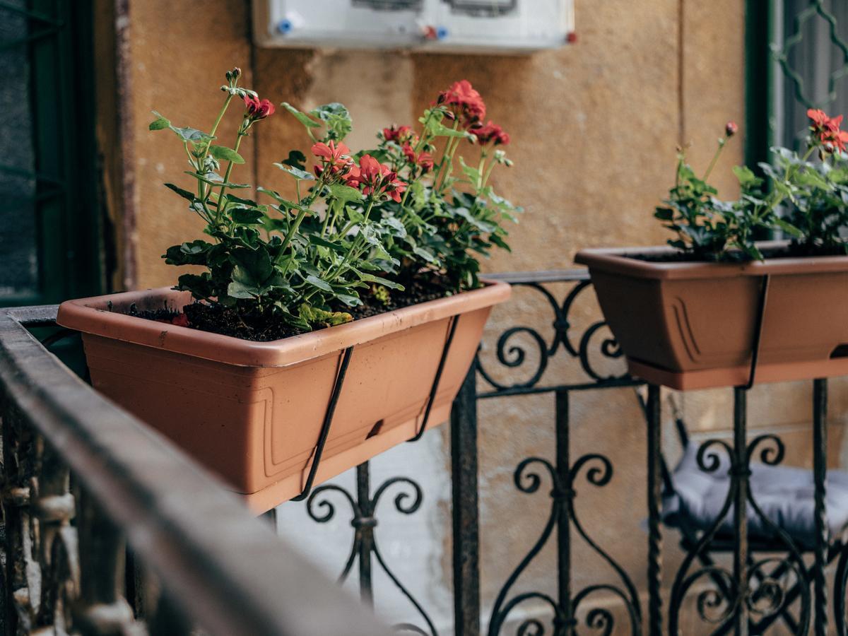 111 Hostel Budapeşte Dış mekan fotoğraf